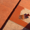 during 1.JPG